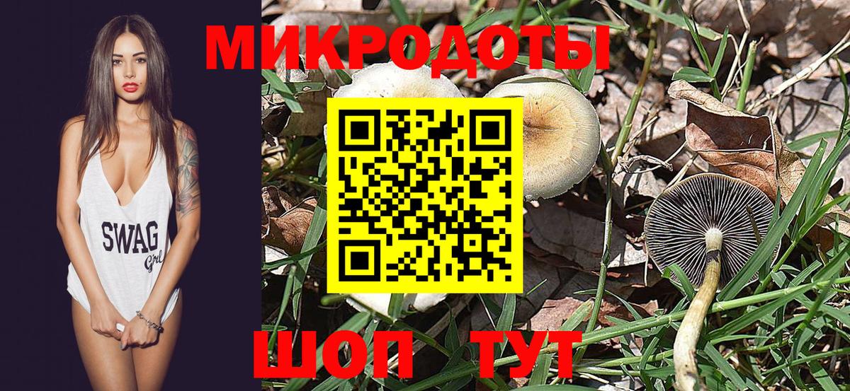 купить наркоту  Псилоцибиновые грибы Psilocybe  Вход с VPN  Полысаево 