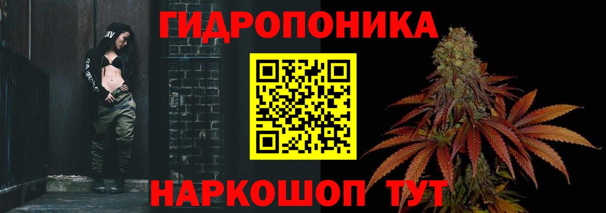 Конопля Amnesia Полысаево